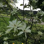 ファームステイ Ferienbauernhof Koller Helfenberg