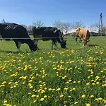 Ferienbauernhof Koller *