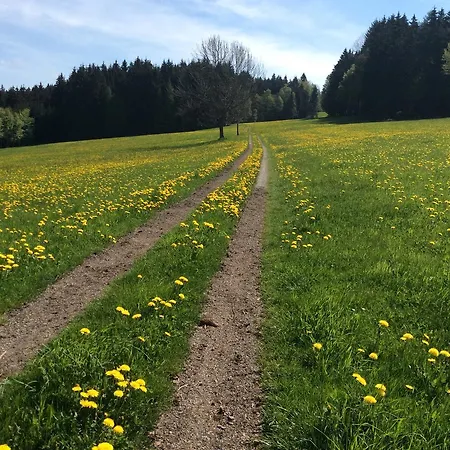 Ferienbauernhof Koller * Helfenberg