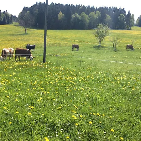 Ferienbauernhof Koller בית חווה *