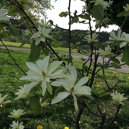 בית חווה Ferienbauernhof Koller Helfenberg