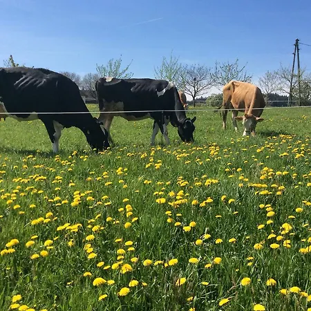 Ferienbauernhof Koller *