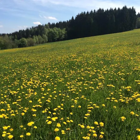 Farm stay Ferienbauernhof Koller