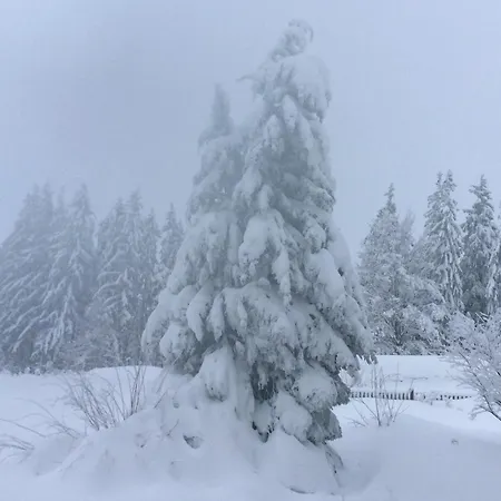 Ferienbauernhof Koller