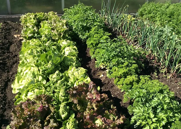 Ferienbauernhof Koller * Helfenberg