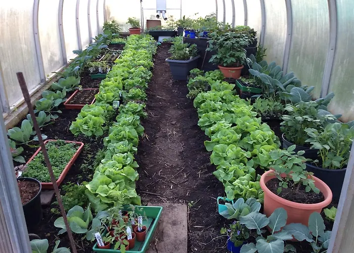 Farm stay Ferienbauernhof Koller *