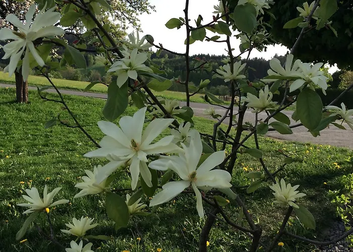 Farm stay Ferienbauernhof Koller Helfenberg