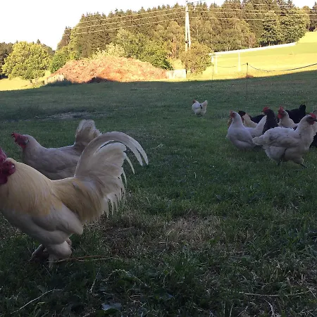 Ferienbauernhof Koller Helfenberg