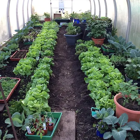 Vakantieboerderij Ferienbauernhof Koller *