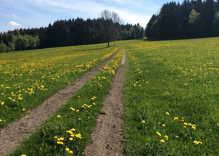 Ferienbauernhof Koller * Helfenberg
