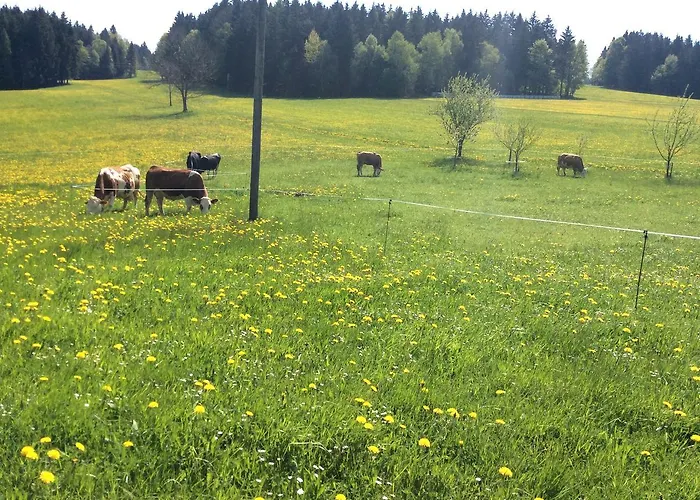 Ferienbauernhof Koller Vakantieboerderij *