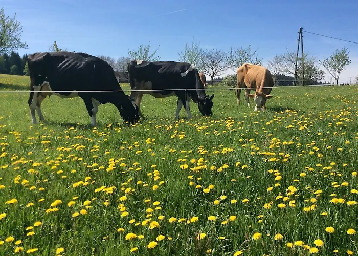 Ferienbauernhof Koller *