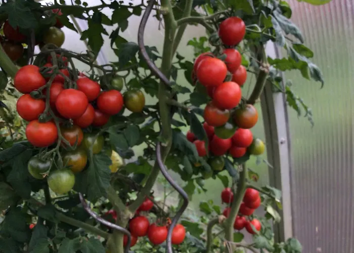 Ferienbauernhof Koller Helfenberg