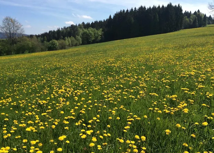 Vakantieboerderij Ferienbauernhof Koller
