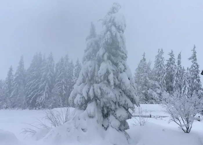 Ferienbauernhof Koller